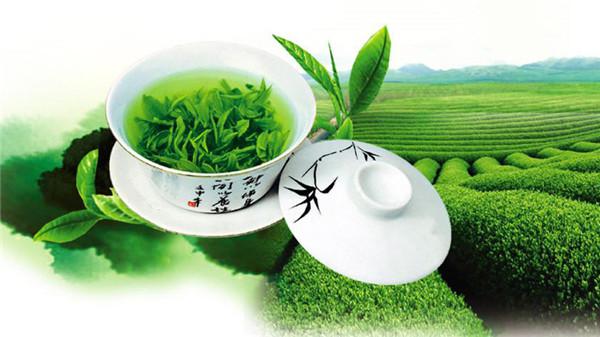 哪些茶叶属于绿茶（绿茶包括哪些茶叶品种）